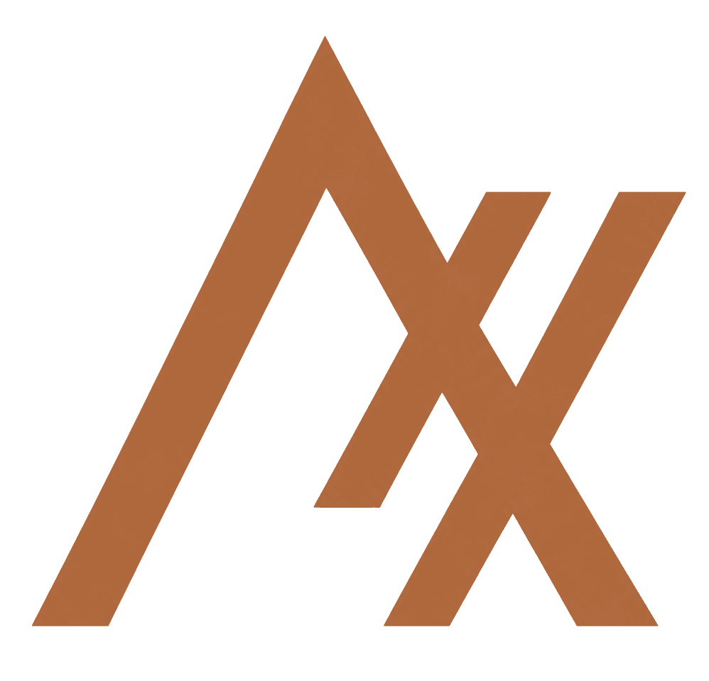 2xagent.ai logo